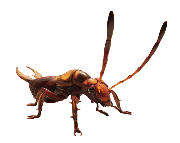 Whipper Earwig